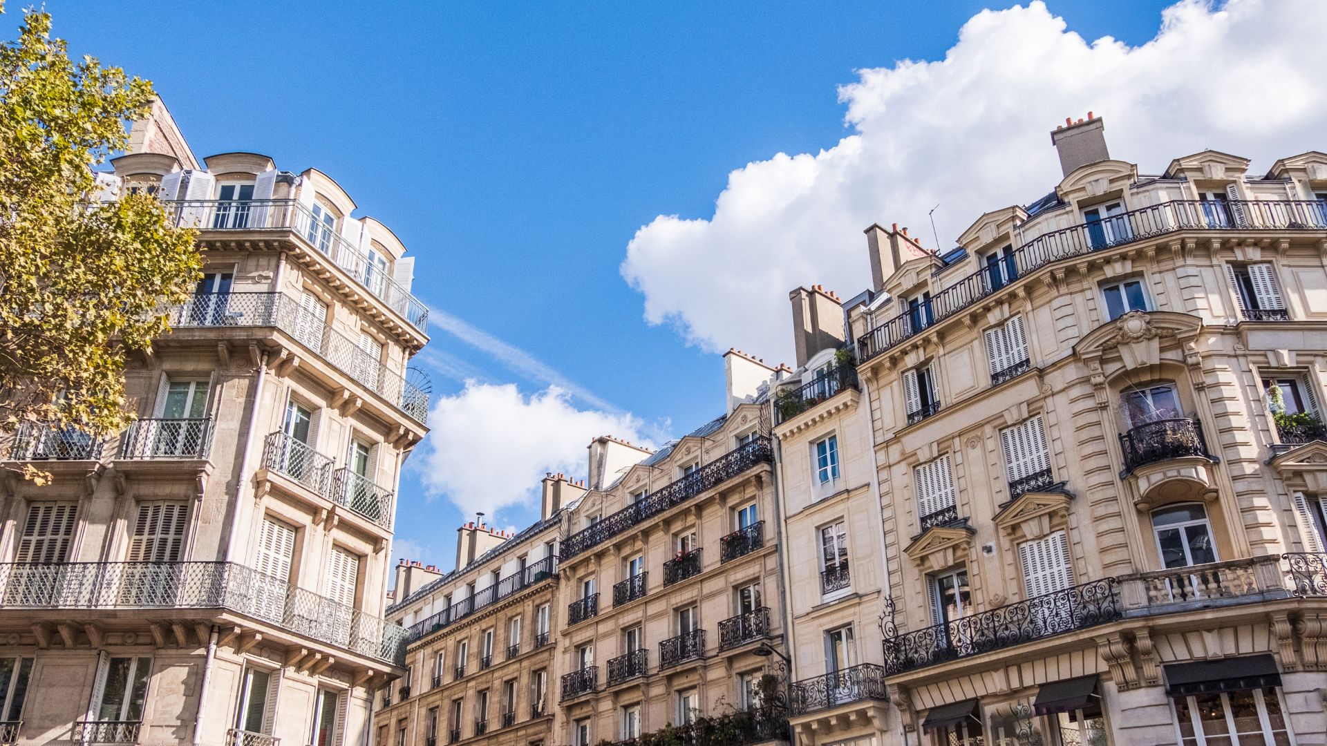 cours saint germain en laye
